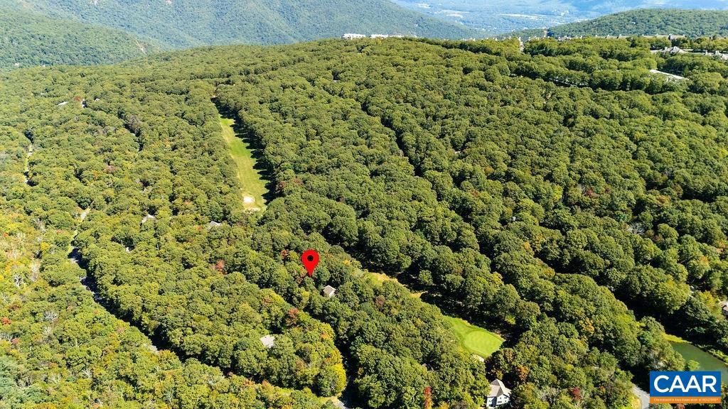 88 DEERBERRY LN #7, WINTERGREEN RESORT, Virginia 22967, ,Land,For sale,88 DEERBERRY LN #7,669154 MLS # 669154