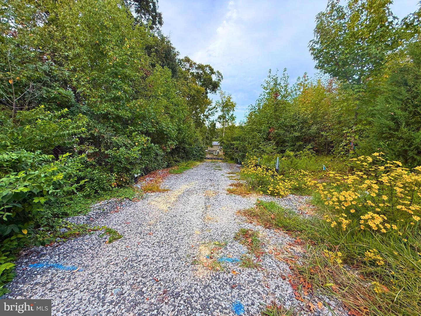 8811 OX RD, LORTON, Virginia 22079, ,Land,For sale,8811 OX RD,VAFX2268152 MLS # VAFX2268152