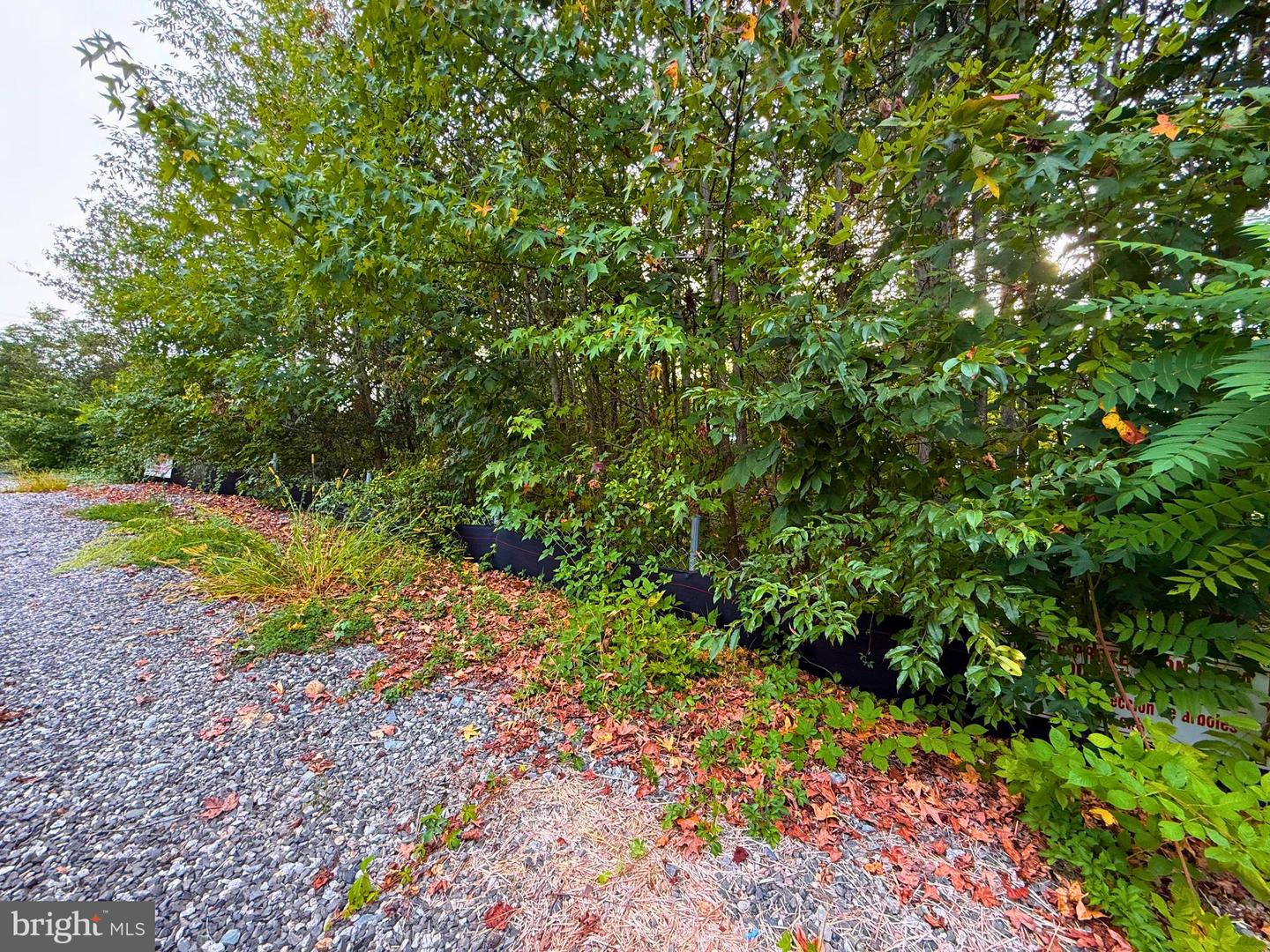 8811 OX RD, LORTON, Virginia 22079, ,Land,For sale,8811 OX RD,VAFX2268152 MLS # VAFX2268152