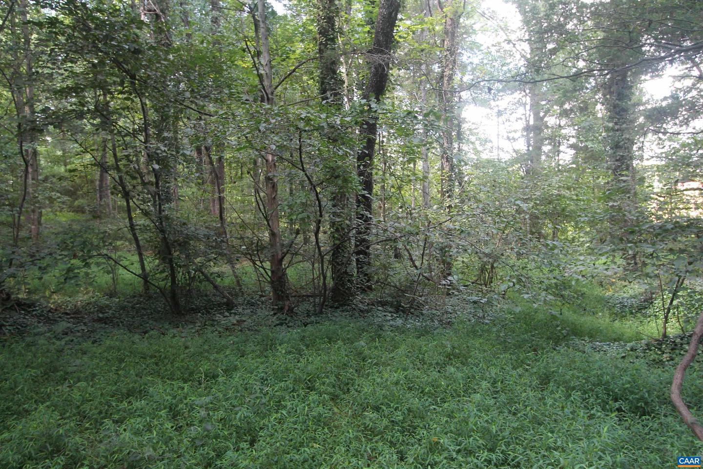 0 SEMINOLE TRL, ROCHELLE, Virginia 22738, ,Land,For sale,0 SEMINOLE TRL,669157 MLS # 669157