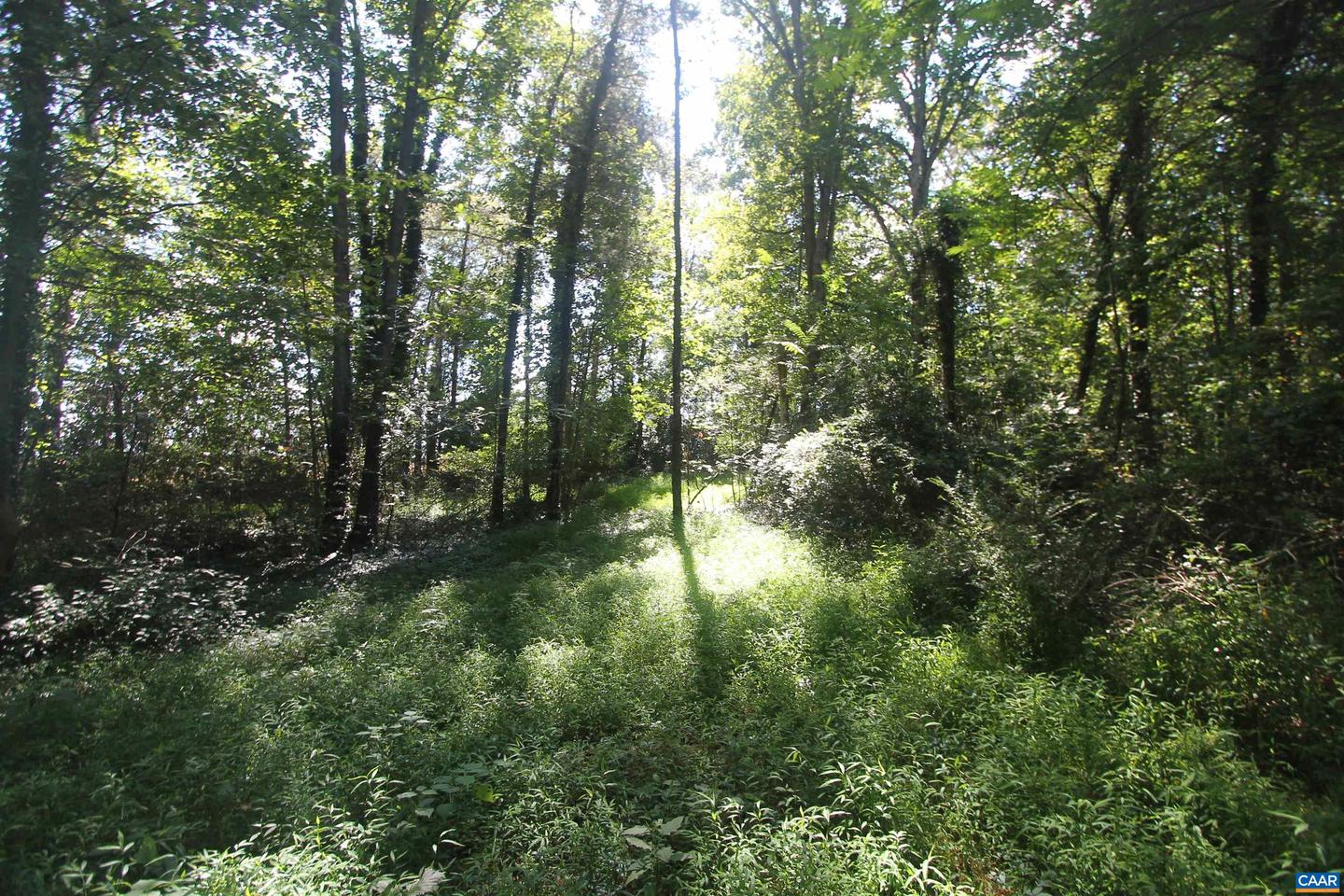0 SEMINOLE TRL, ROCHELLE, Virginia 22738, ,Land,For sale,0 SEMINOLE TRL,669157 MLS # 669157