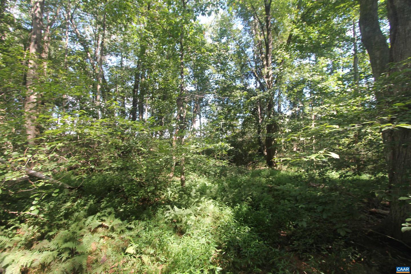0 SEMINOLE TRL, ROCHELLE, Virginia 22738, ,Land,For sale,0 SEMINOLE TRL,669157 MLS # 669157