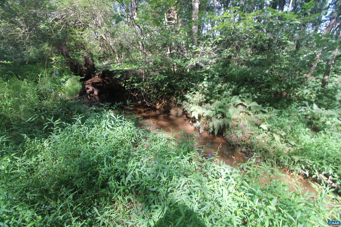 0 SEMINOLE TRL, ROCHELLE, Virginia 22738, ,Land,For sale,0 SEMINOLE TRL,669157 MLS # 669157
