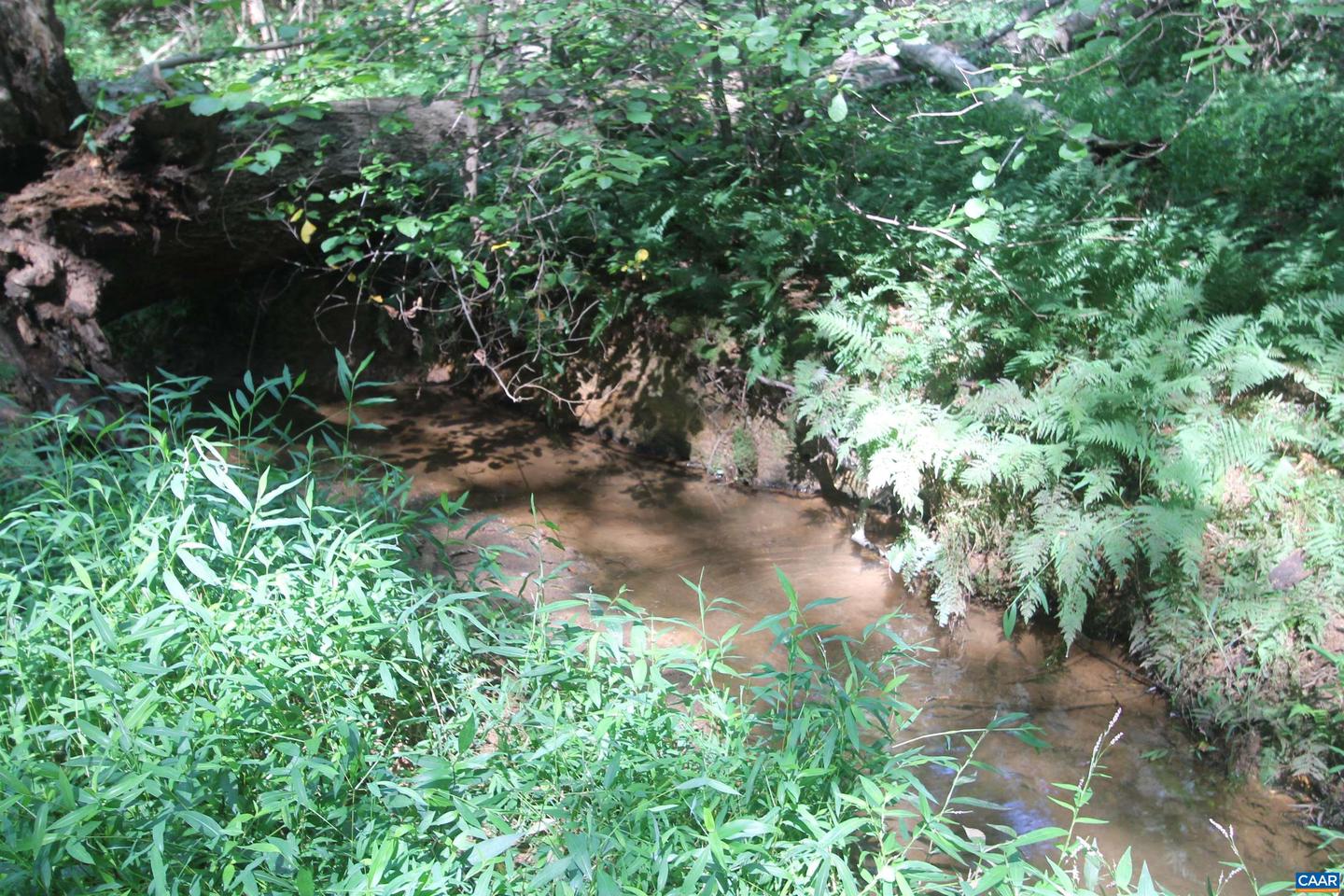 0 SEMINOLE TRL, ROCHELLE, Virginia 22738, ,Land,For sale,0 SEMINOLE TRL,669157 MLS # 669157