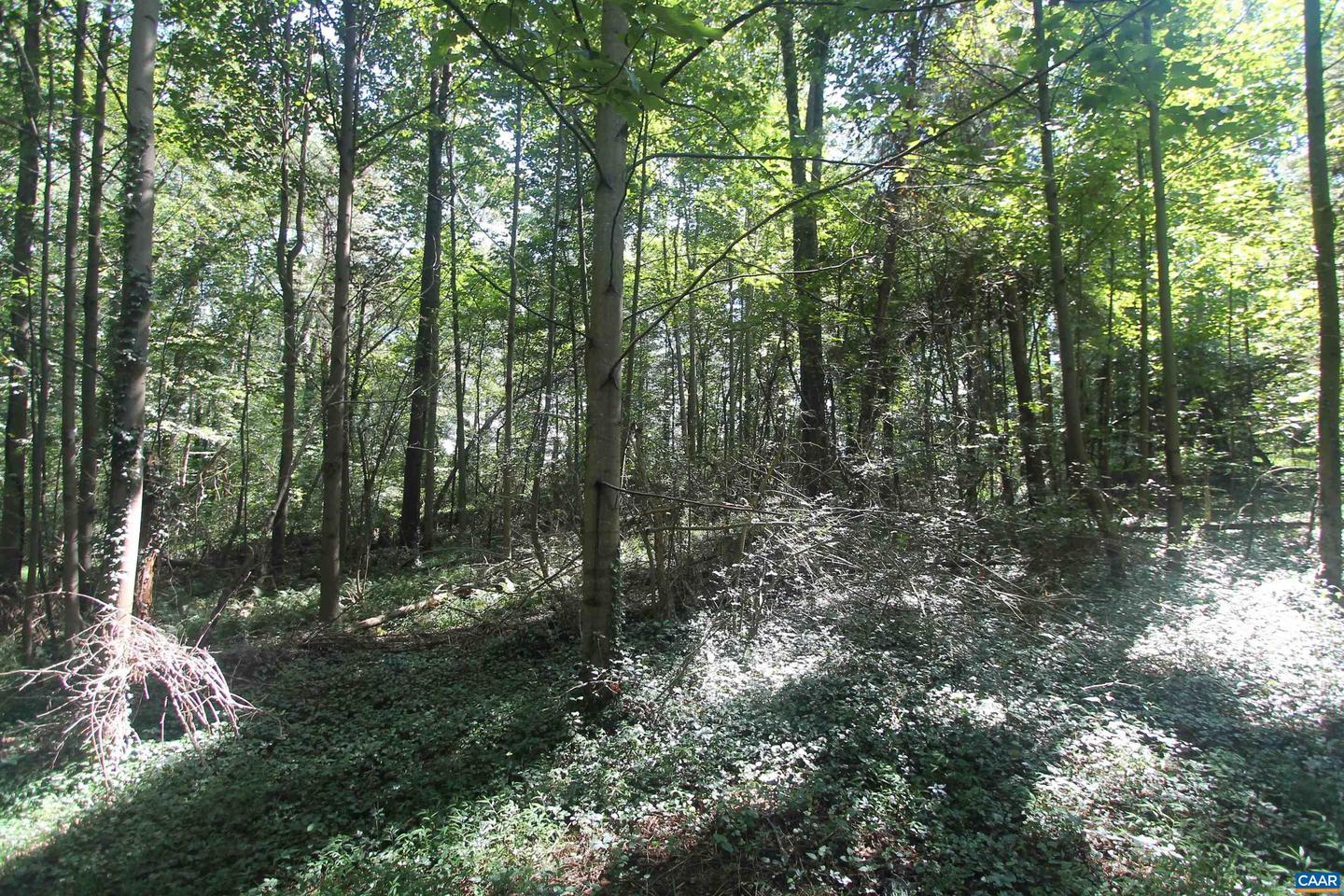 0 SEMINOLE TRL, ROCHELLE, Virginia 22738, ,Land,For sale,0 SEMINOLE TRL,669157 MLS # 669157