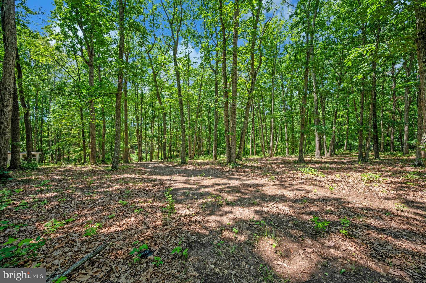 33080 JACKSON LOOP, LOCUST GROVE, Virginia 22508, 3 Bedrooms Bedrooms, ,1 BathroomBathrooms,Residential,For sale,33080 JACKSON LOOP,VAOR2012322 MLS # VAOR2012322 33080 JACKSON LOOP, LOCUST GROVE, Virginia 22508, 3 Bedrooms Bedrooms, ,1 BathroomBathrooms,Residential,For sale,33080 JACKSON LOOP,VAOR2012322 MLS # VAOR2012322