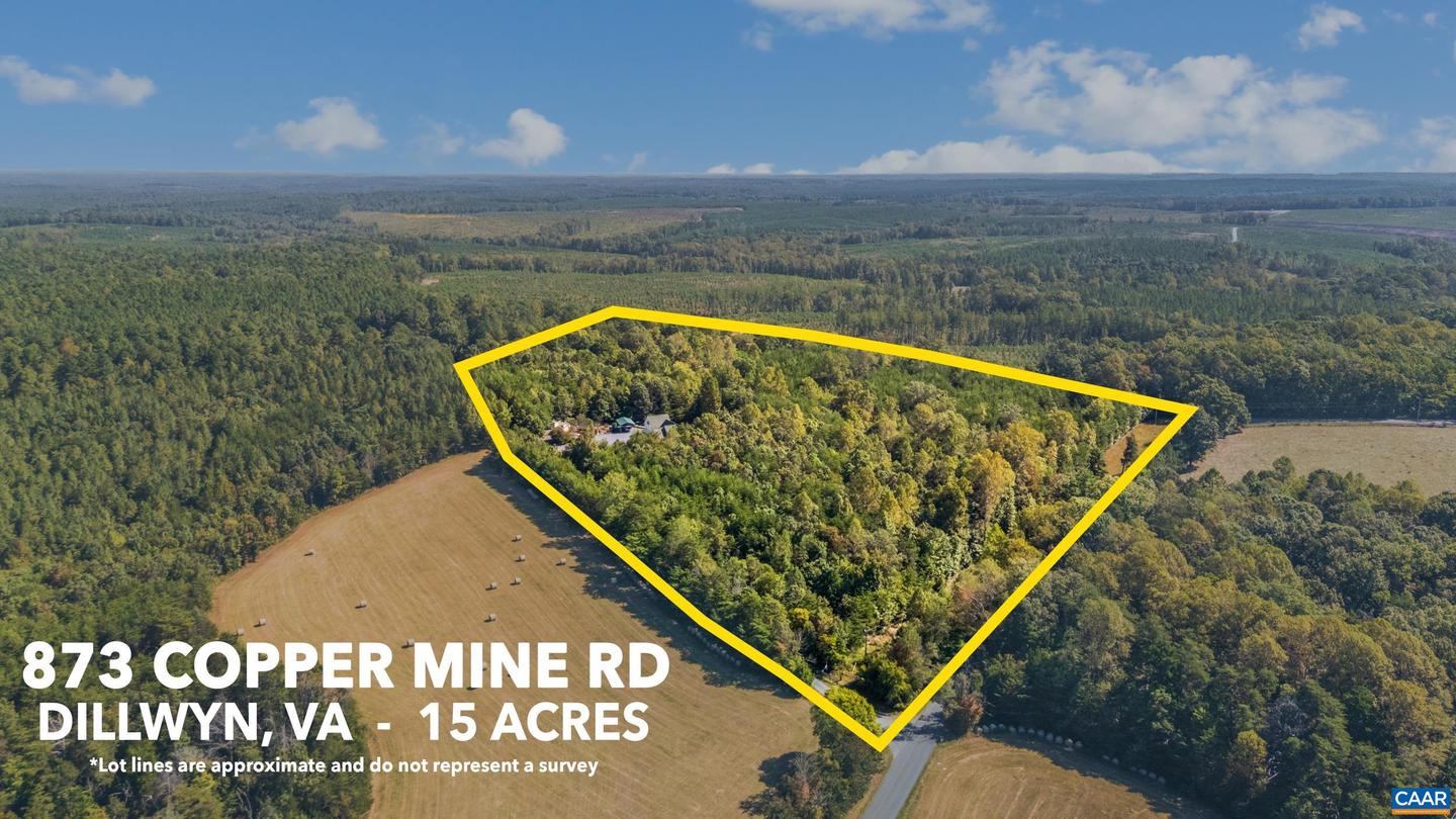 873 COPPER MINE RD, DILLWYN, Virginia 23936, 3 Bedrooms Bedrooms, ,3 BathroomsBathrooms,Residential,For sale,873 COPPER MINE RD,669146 MLS # 669146