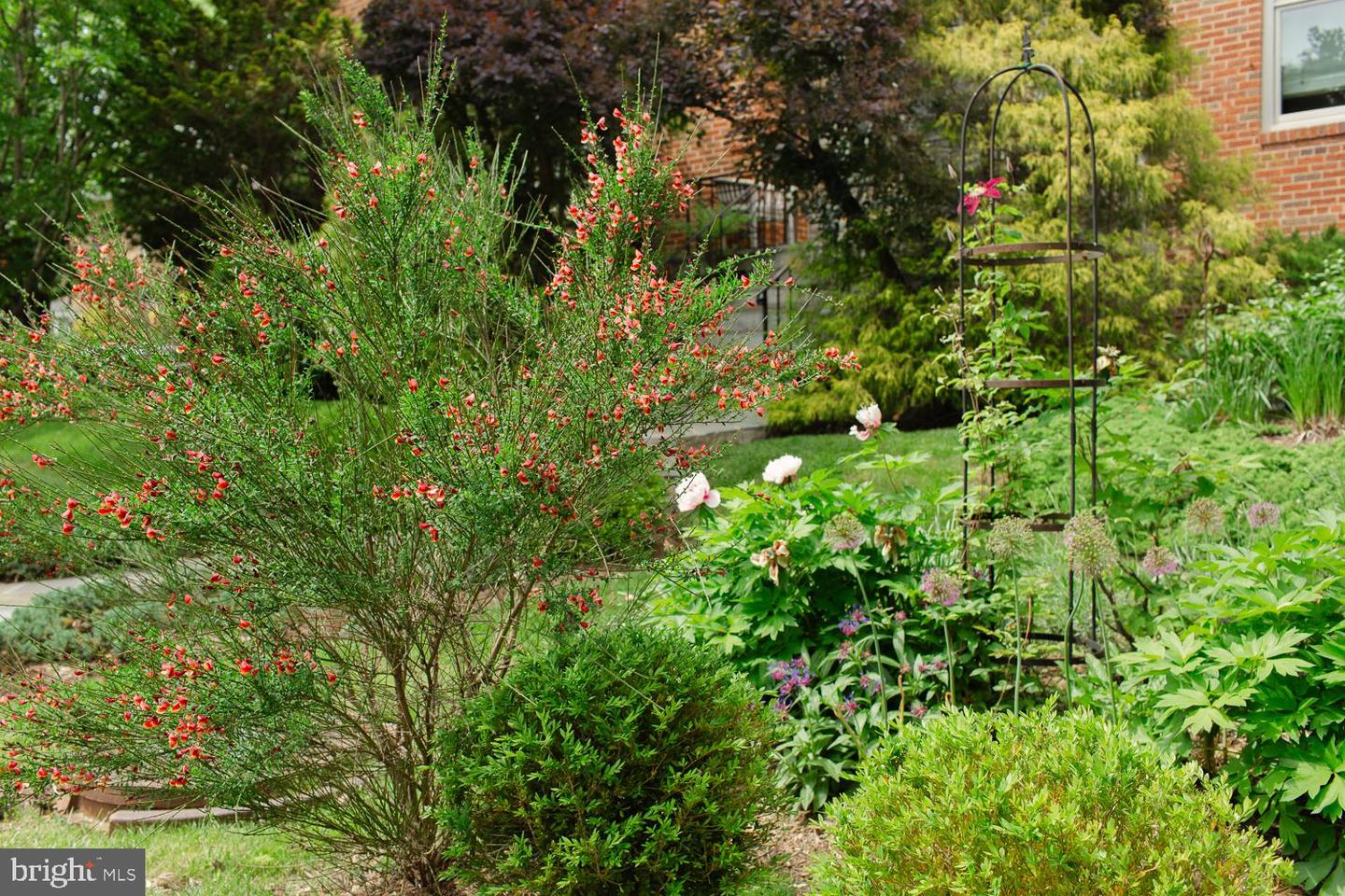 1755 UPSHUR ST NW, WASHINGTON, District Of Columbia 20011, 6 Bedrooms Bedrooms, ,4 BathroomsBathrooms,Residential,For sale,1755 UPSHUR ST NW,DCDC2188076 MLS # DCDC2188076 1755 UPSHUR ST NW, WASHINGTON, District Of Columbia 20011, 6 Bedrooms Bedrooms, ,4 BathroomsBathrooms,Residential,For sale,1755 UPSHUR ST NW,DCDC2188076 MLS # DCDC2188076