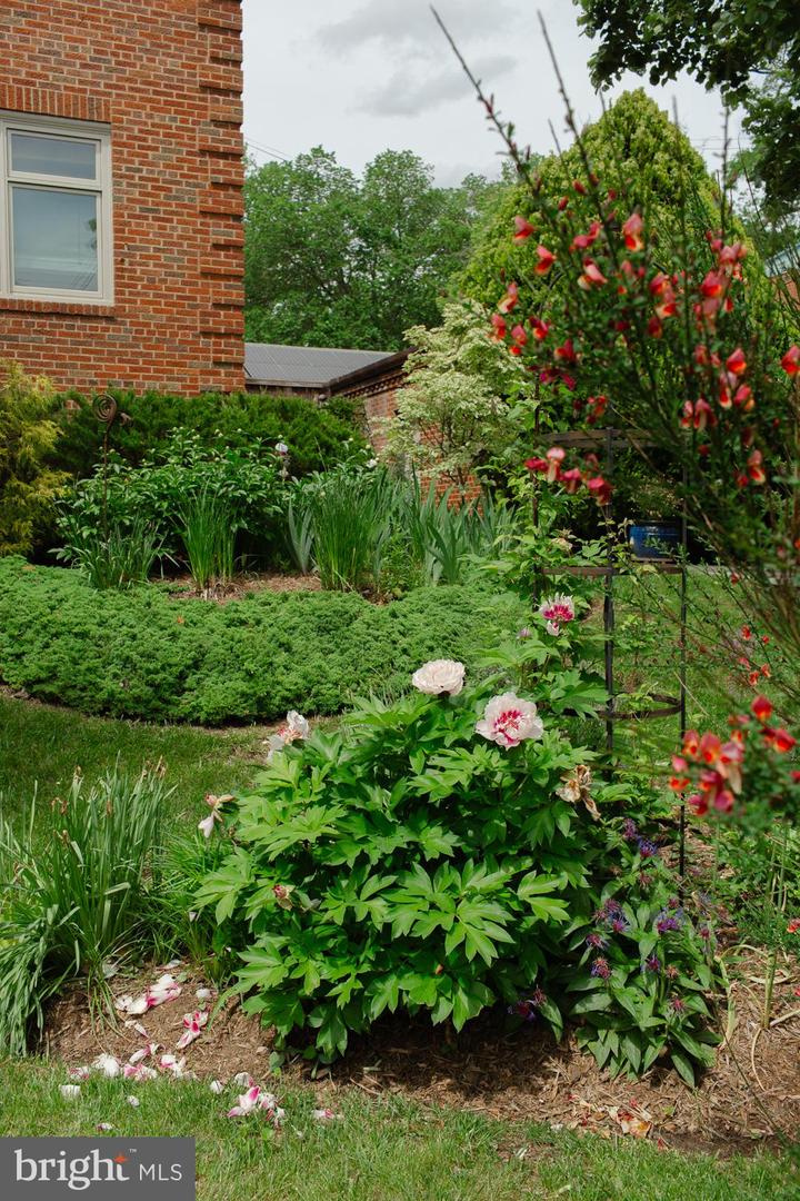 1755 UPSHUR ST NW, WASHINGTON, District Of Columbia 20011, 6 Bedrooms Bedrooms, ,4 BathroomsBathrooms,Residential,For sale,1755 UPSHUR ST NW,DCDC2188076 MLS # DCDC2188076 1755 UPSHUR ST NW, WASHINGTON, District Of Columbia 20011, 6 Bedrooms Bedrooms, ,4 BathroomsBathrooms,Residential,For sale,1755 UPSHUR ST NW,DCDC2188076 MLS # DCDC2188076