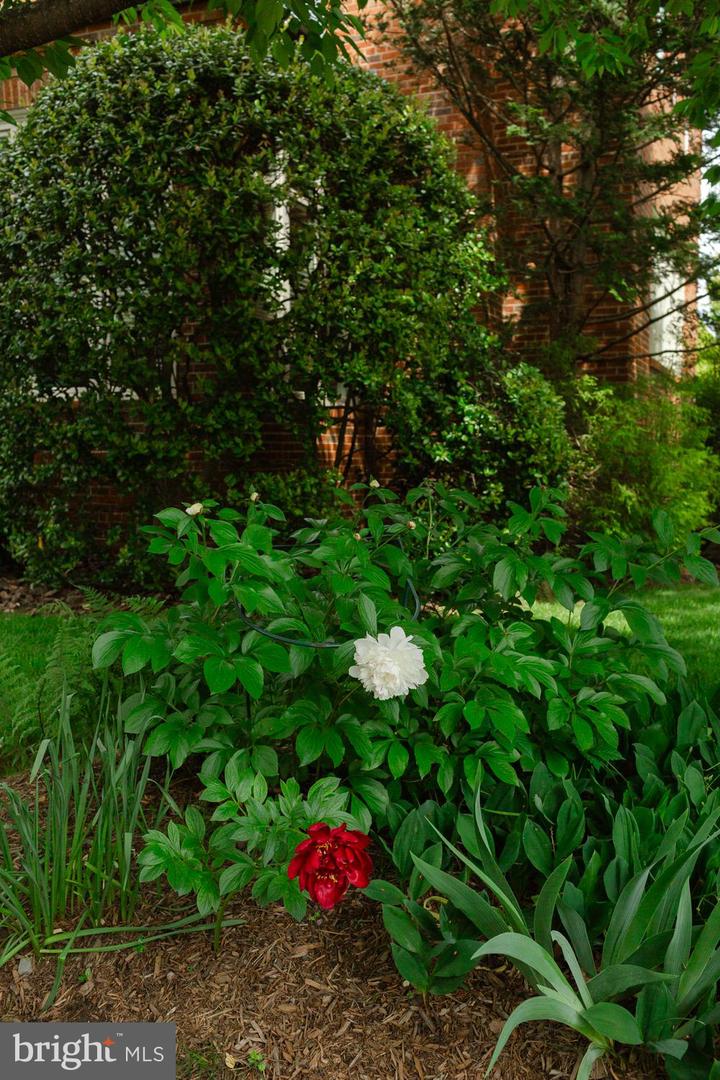 1755 UPSHUR ST NW, WASHINGTON, District Of Columbia 20011, 6 Bedrooms Bedrooms, ,4 BathroomsBathrooms,Residential,For sale,1755 UPSHUR ST NW,DCDC2188076 MLS # DCDC2188076 1755 UPSHUR ST NW, WASHINGTON, District Of Columbia 20011, 6 Bedrooms Bedrooms, ,4 BathroomsBathrooms,Residential,For sale,1755 UPSHUR ST NW,DCDC2188076 MLS # DCDC2188076