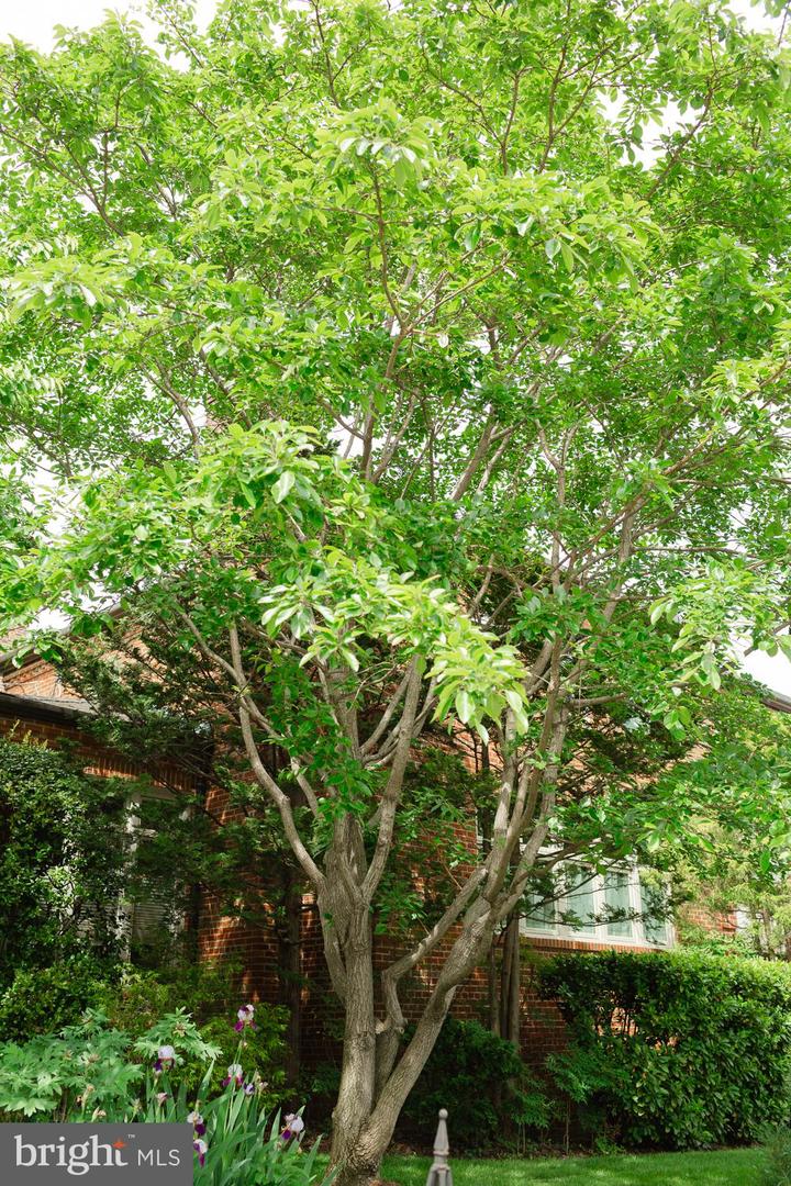 1755 UPSHUR ST NW, WASHINGTON, District Of Columbia 20011, 6 Bedrooms Bedrooms, ,4 BathroomsBathrooms,Residential,For sale,1755 UPSHUR ST NW,DCDC2188076 MLS # DCDC2188076 1755 UPSHUR ST NW, WASHINGTON, District Of Columbia 20011, 6 Bedrooms Bedrooms, ,4 BathroomsBathrooms,Residential,For sale,1755 UPSHUR ST NW,DCDC2188076 MLS # DCDC2188076