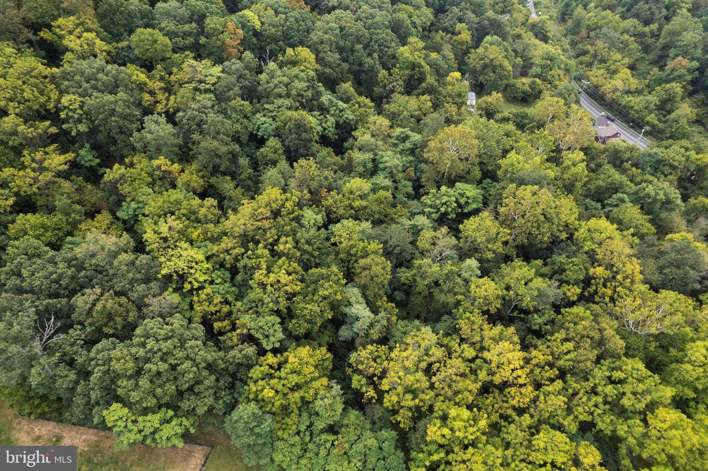 CHARLES TOWN PIKE, HILLSBORO, Virginia 20132, ,Land,For sale,CHARLES TOWN PIKE,VALO2106728 MLS # VALO2106728