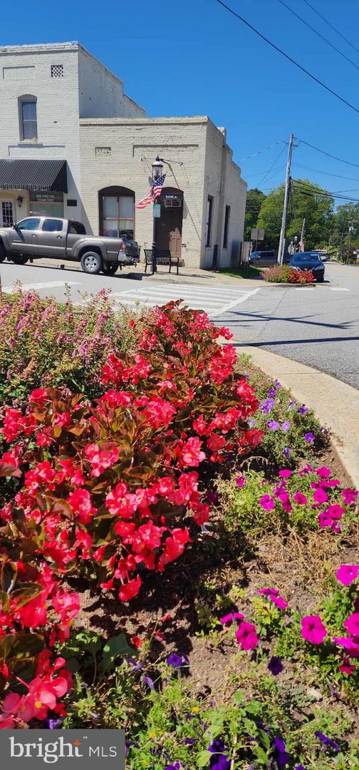 MINERAL SPRINGS RD #PARCEL 36735, BOYDTON, Virginia 23917, ,Land,For sale,MINERAL SPRINGS RD #PARCEL 36735,VAMB2000076 MLS # VAMB2000076