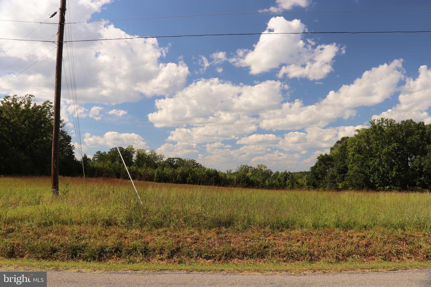 MINERAL SPRINGS RD #PARCEL 36735, BOYDTON, Virginia 23917, ,Land,For sale,MINERAL SPRINGS RD #PARCEL 36735,VAMB2000076 MLS # VAMB2000076
