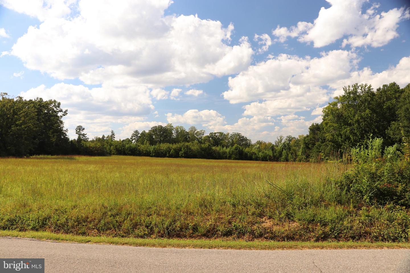 MINERAL SPRINGS RD #PARCEL 36735, BOYDTON, Virginia 23917, ,Land,For sale,MINERAL SPRINGS RD #PARCEL 36735,VAMB2000076 MLS # VAMB2000076