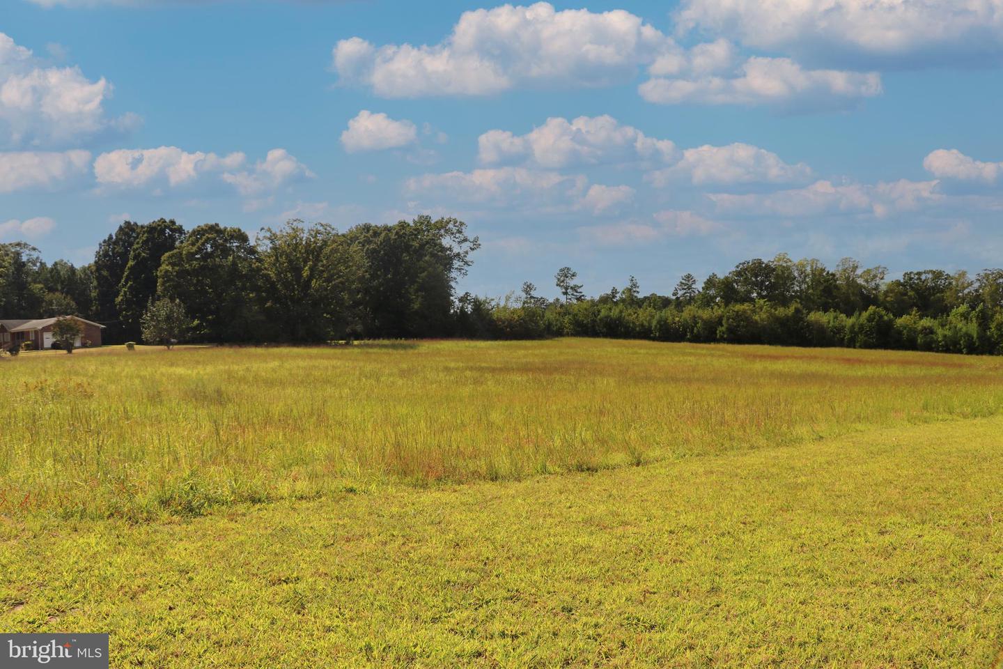 MINERAL SPRINGS RD #PARCEL 36735, BOYDTON, Virginia 23917, ,Land,For sale,MINERAL SPRINGS RD #PARCEL 36735,VAMB2000076 MLS # VAMB2000076