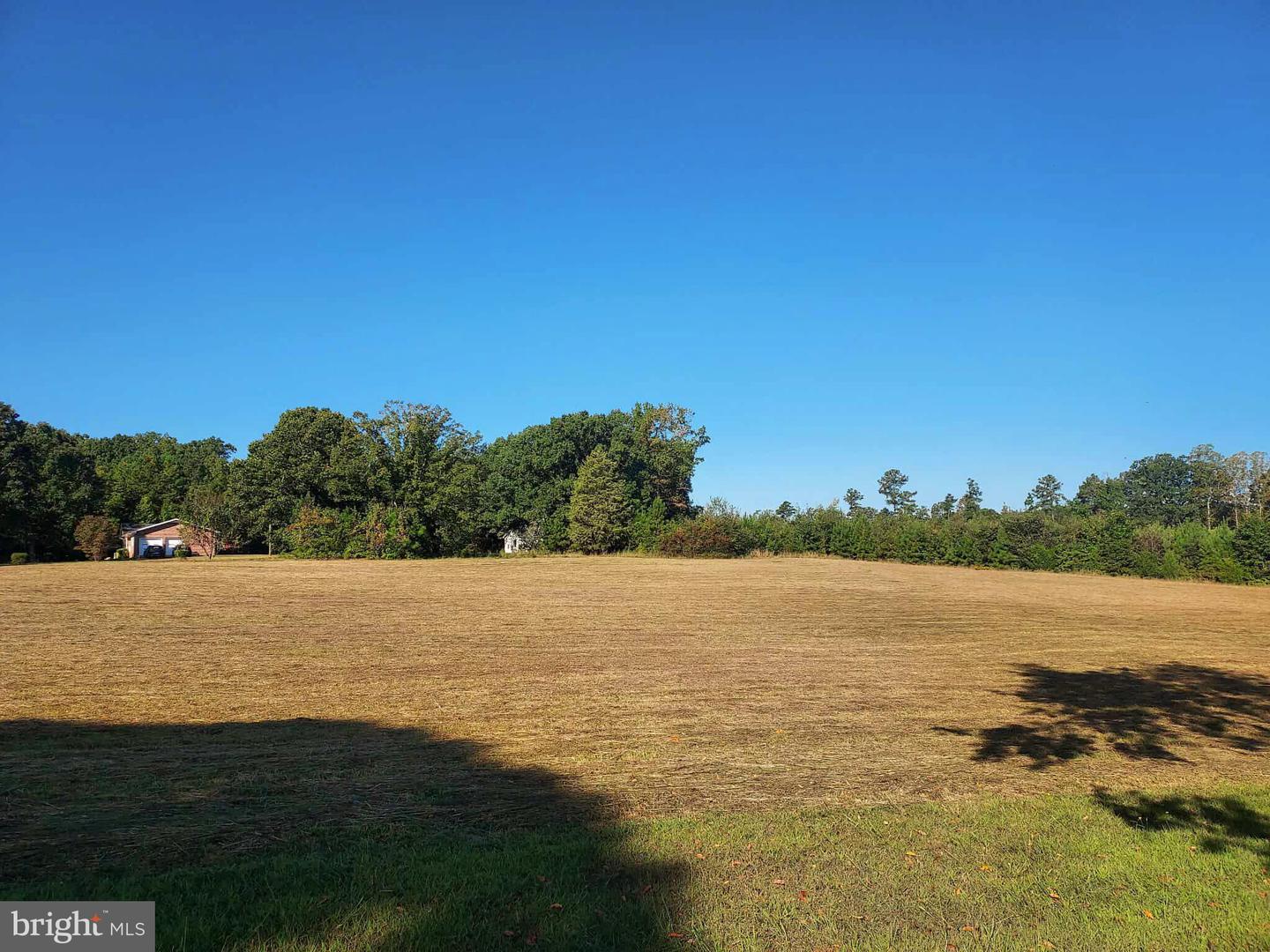 MINERAL SPRINGS RD #PARCEL 36735, BOYDTON, Virginia 23917, ,Land,For sale,MINERAL SPRINGS RD #PARCEL 36735,VAMB2000076 MLS # VAMB2000076