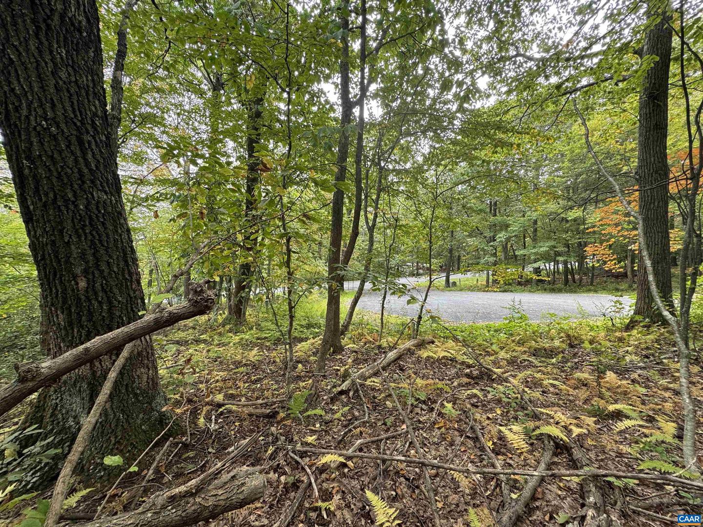 12 DRIPPING ROCK LN, WINTERGREEN RESORT, Virginia 22967, ,Land,For sale,12 DRIPPING ROCK LN,669161 MLS # 669161
