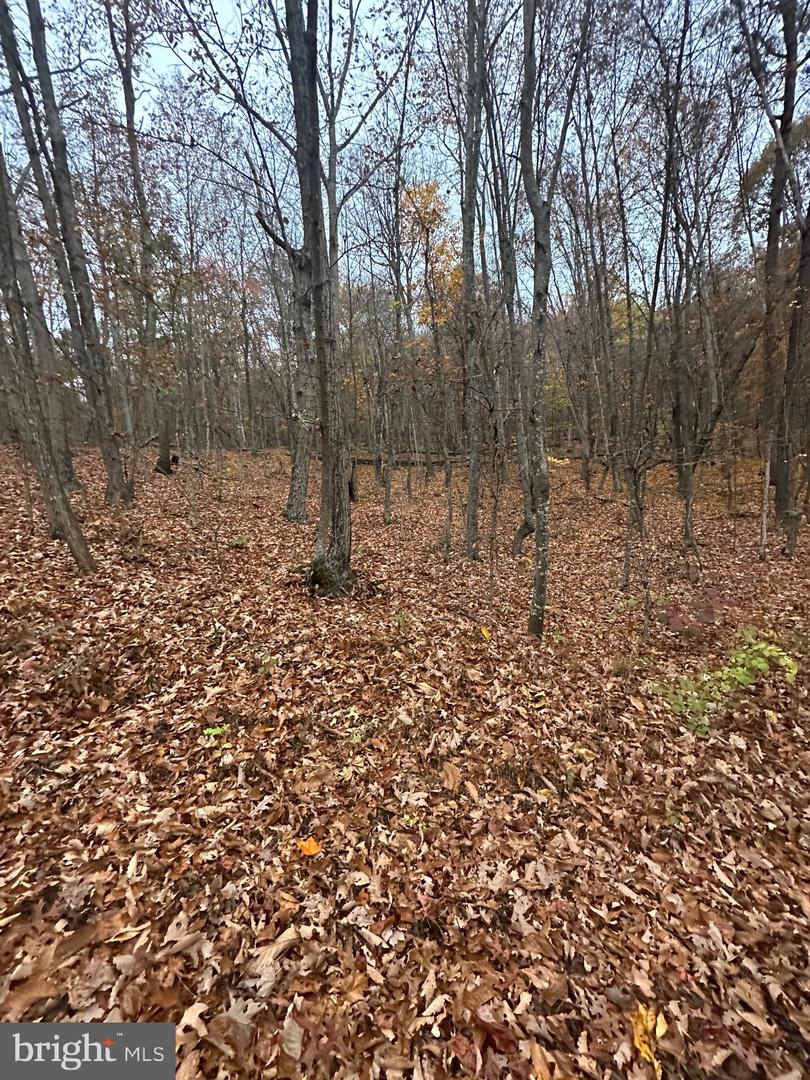 LOT 370 CROSSWOODS, FORT VALLEY, Virginia 22652, ,Land,For sale,LOT 370 CROSSWOODS,VASH2012582 MLS # VASH2012582