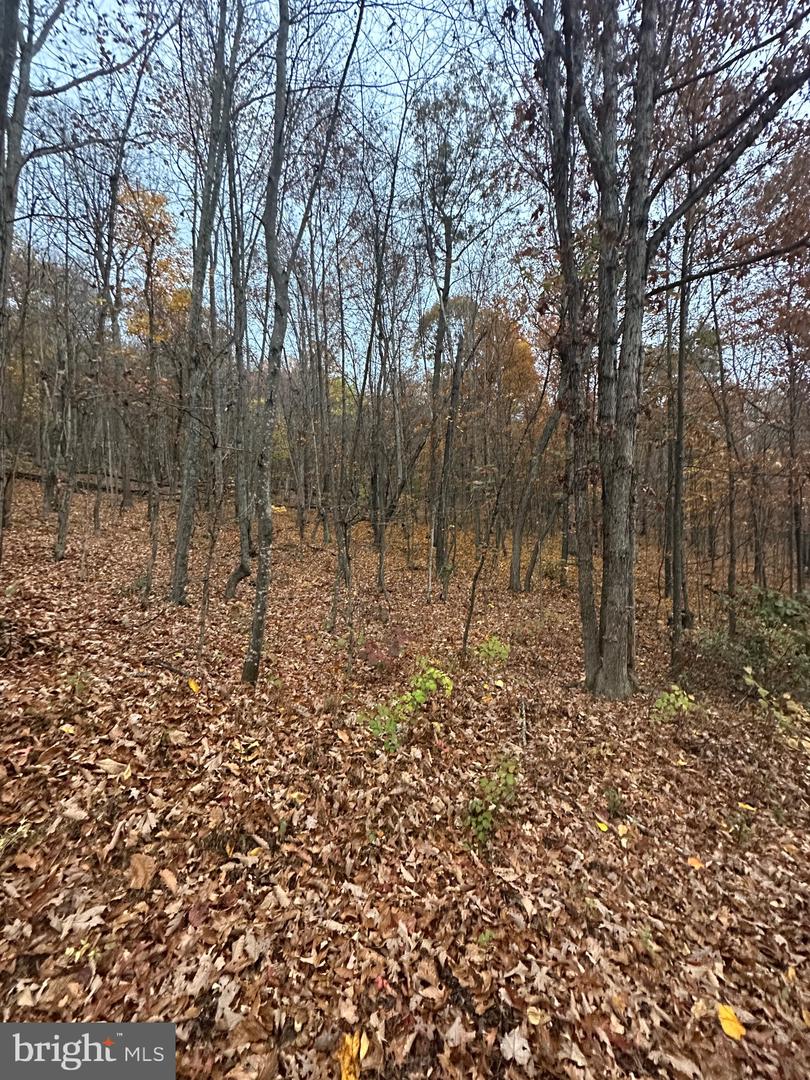LOT 370 CROSSWOODS, FORT VALLEY, Virginia 22652, ,Land,For sale,LOT 370 CROSSWOODS,VASH2012582 MLS # VASH2012582