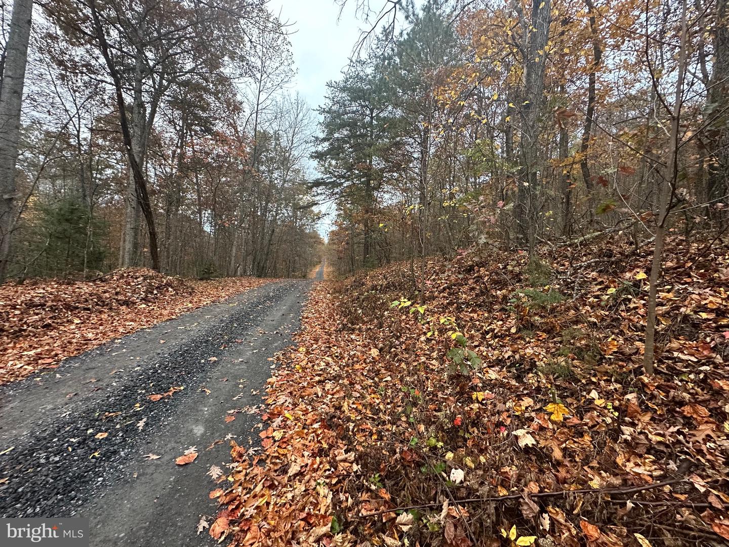 LOT 370 CROSSWOODS, FORT VALLEY, Virginia 22652, ,Land,For sale,LOT 370 CROSSWOODS,VASH2012582 MLS # VASH2012582