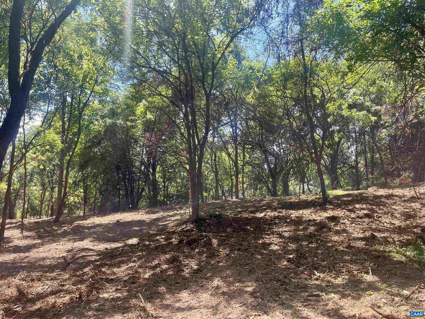 1630 BUCK RD, CROZET, Virginia 22932, ,Land,For sale,1630 BUCK RD,669168 MLS # 669168