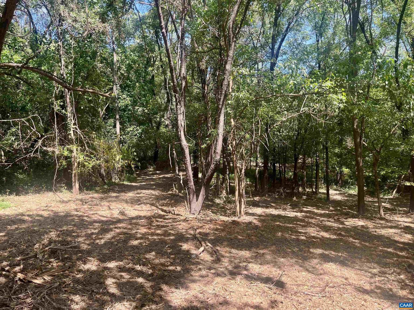 1630 BUCK RD, CROZET, Virginia 22932, ,Land,For sale,1630 BUCK RD,669168 MLS # 669168