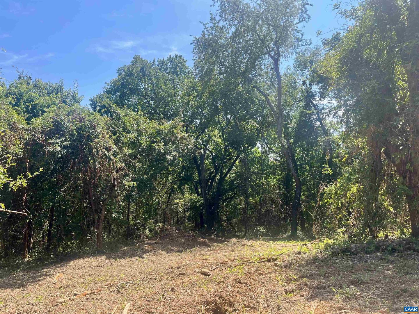 1630 BUCK RD, CROZET, Virginia 22932, ,Land,For sale,1630 BUCK RD,669168 MLS # 669168
