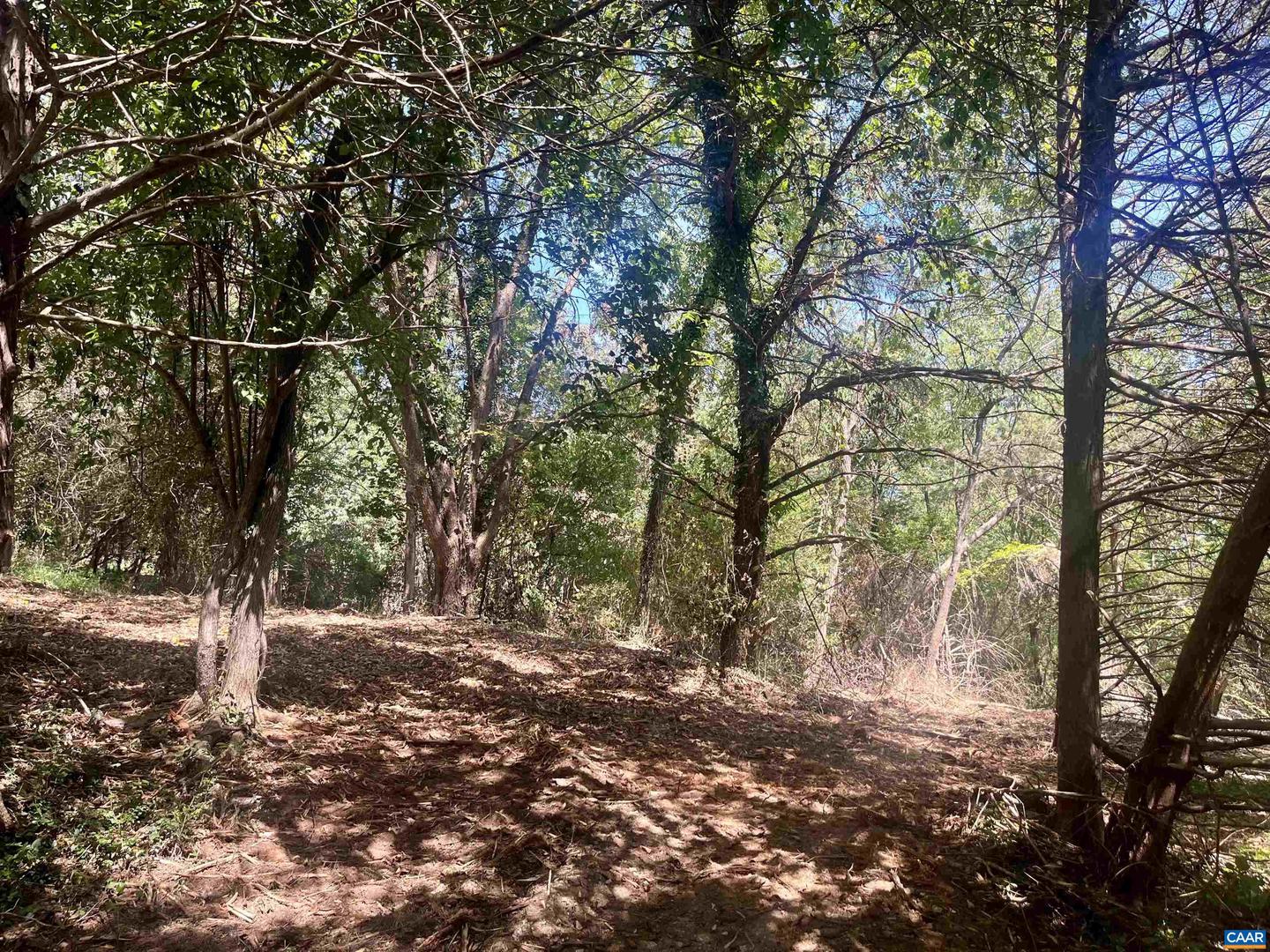 1630 BUCK RD, CROZET, Virginia 22932, ,Land,For sale,1630 BUCK RD,669168 MLS # 669168