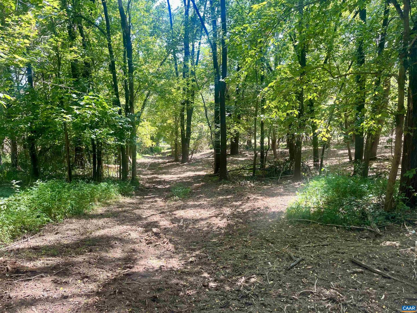 1630 BUCK RD, CROZET, Virginia 22932, ,Land,For sale,1630 BUCK RD,669168 MLS # 669168