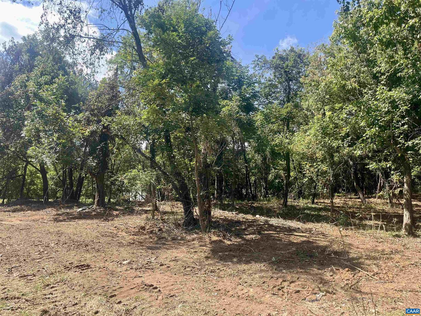 1630 BUCK RD, CROZET, Virginia 22932, ,Land,For sale,1630 BUCK RD,669168 MLS # 669168