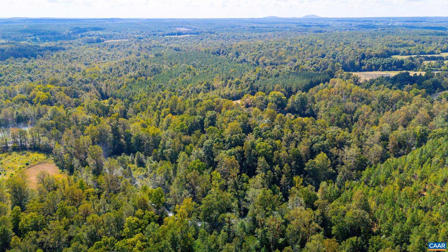 00 COPPER MINE RD, DILLWYN, Virginia 23936, ,Farm,For sale,00 COPPER MINE RD,669175 MLS # 669175