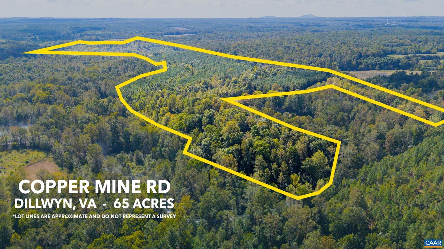 00 COPPER MINE RD, DILLWYN, Virginia 23936, ,Farm,For sale,00 COPPER MINE RD,669175 MLS # 669175
