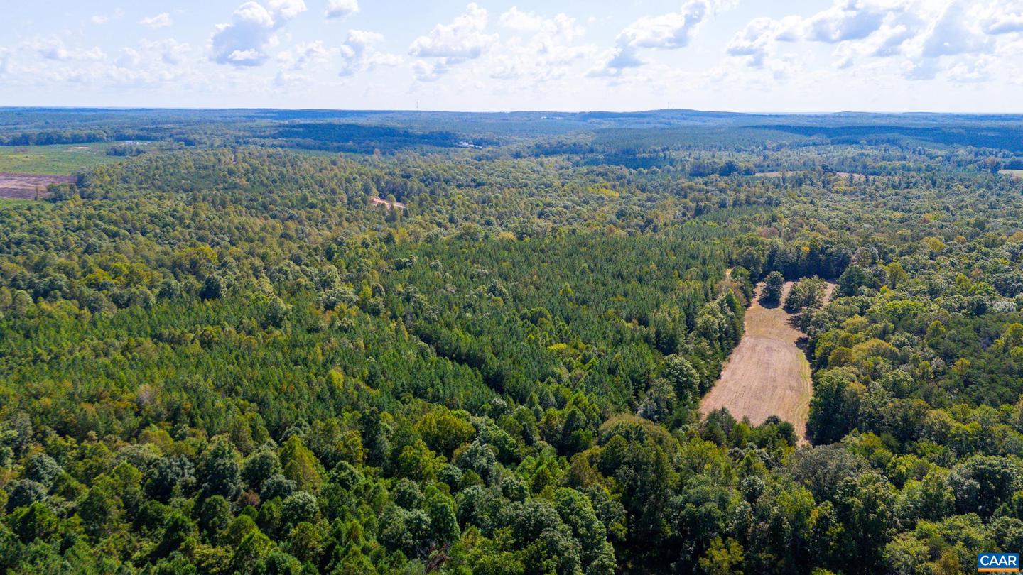 00 COPPER MINE RD, DILLWYN, Virginia 23936, ,Farm,For sale,00 COPPER MINE RD,669175 MLS # 669175