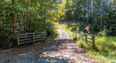 00 COPPER MINE RD, DILLWYN, Virginia 23936, ,Farm,For sale,00 COPPER MINE RD,669175 MLS # 669175