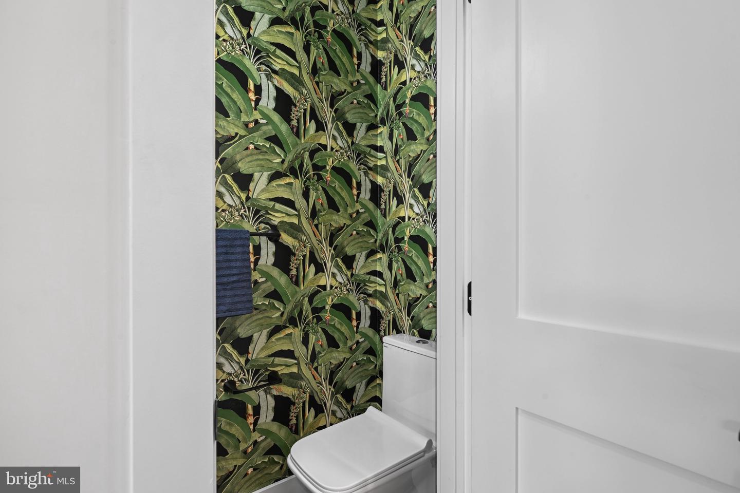 515 KENTUCKY AVE SE, WASHINGTON, District Of Columbia 20003, 5 Bedrooms Bedrooms, ,4 BathroomsBathrooms,Residential,For sale,515 KENTUCKY AVE SE,DCDC2216584 MLS # DCDC2216584 515 KENTUCKY AVE SE, WASHINGTON, District Of Columbia 20003, 5 Bedrooms Bedrooms, ,4 BathroomsBathrooms,Residential,For sale,515 KENTUCKY AVE SE,DCDC2216584 MLS # DCDC2216584