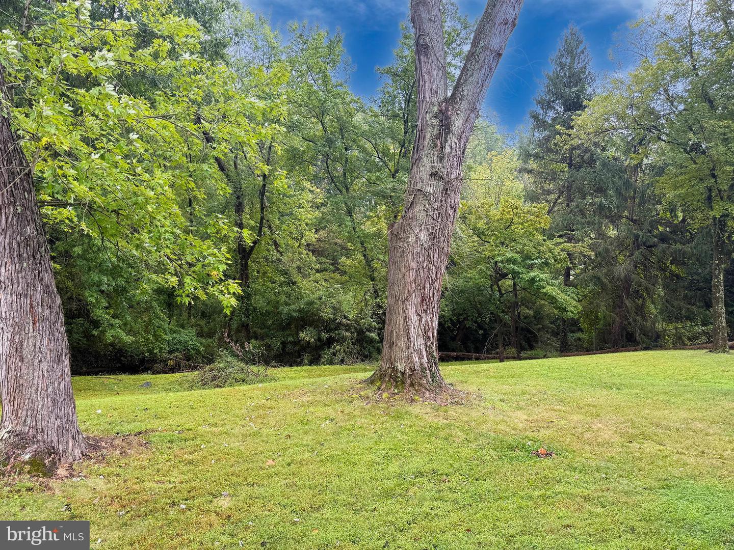 1101 DEAD RUN DR, MCLEAN, Virginia 22101, 5 Bedrooms Bedrooms, ,3 BathroomsBathrooms,Residential,For sale,1101 DEAD RUN DR,VAFX2263056 MLS # VAFX2263056