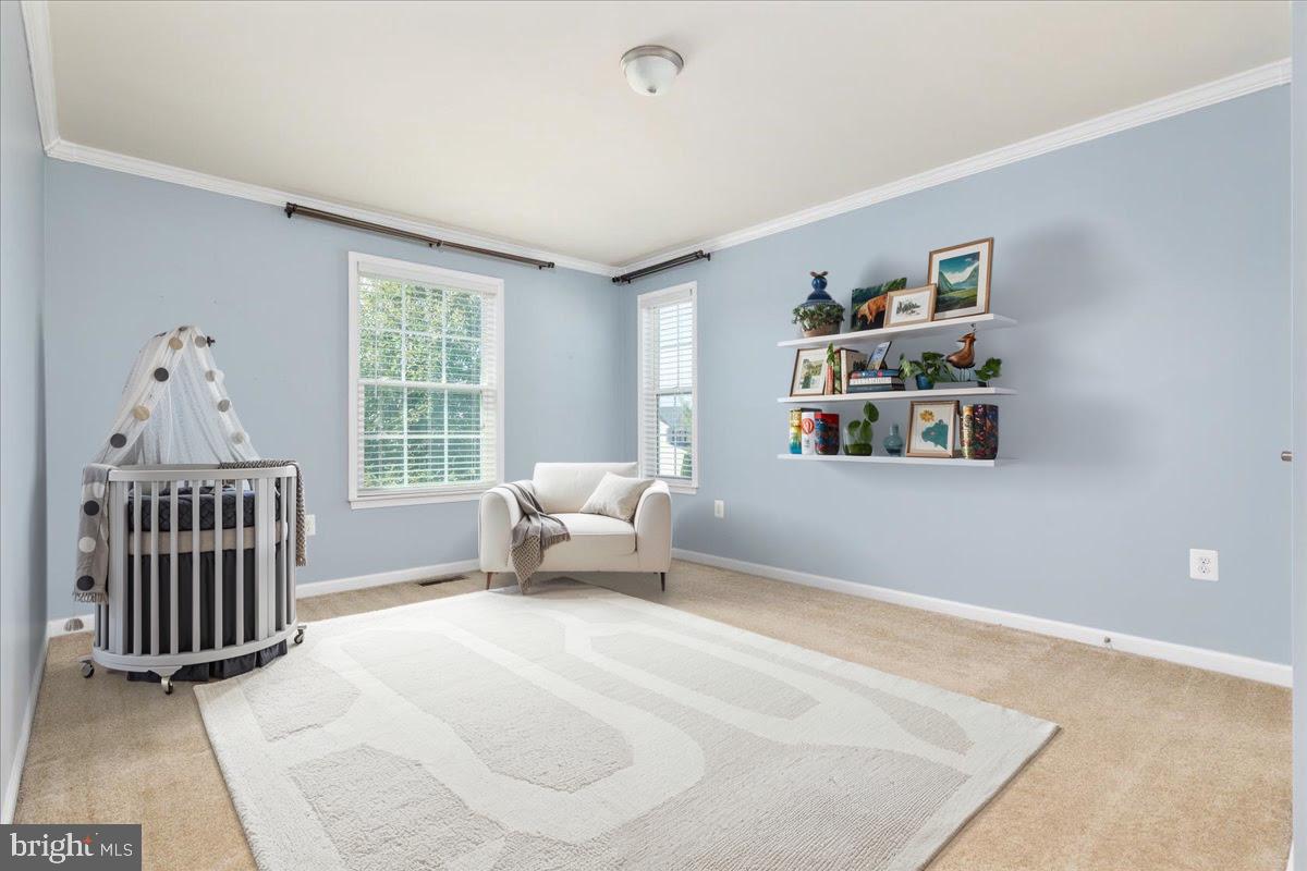 12025 LIVE OAK DR, CULPEPER, Virginia 22701, 3 Bedrooms Bedrooms, ,3 BathroomsBathrooms,Residential,For sale,12025 LIVE OAK DR,VACU2011442 MLS # VACU2011442
