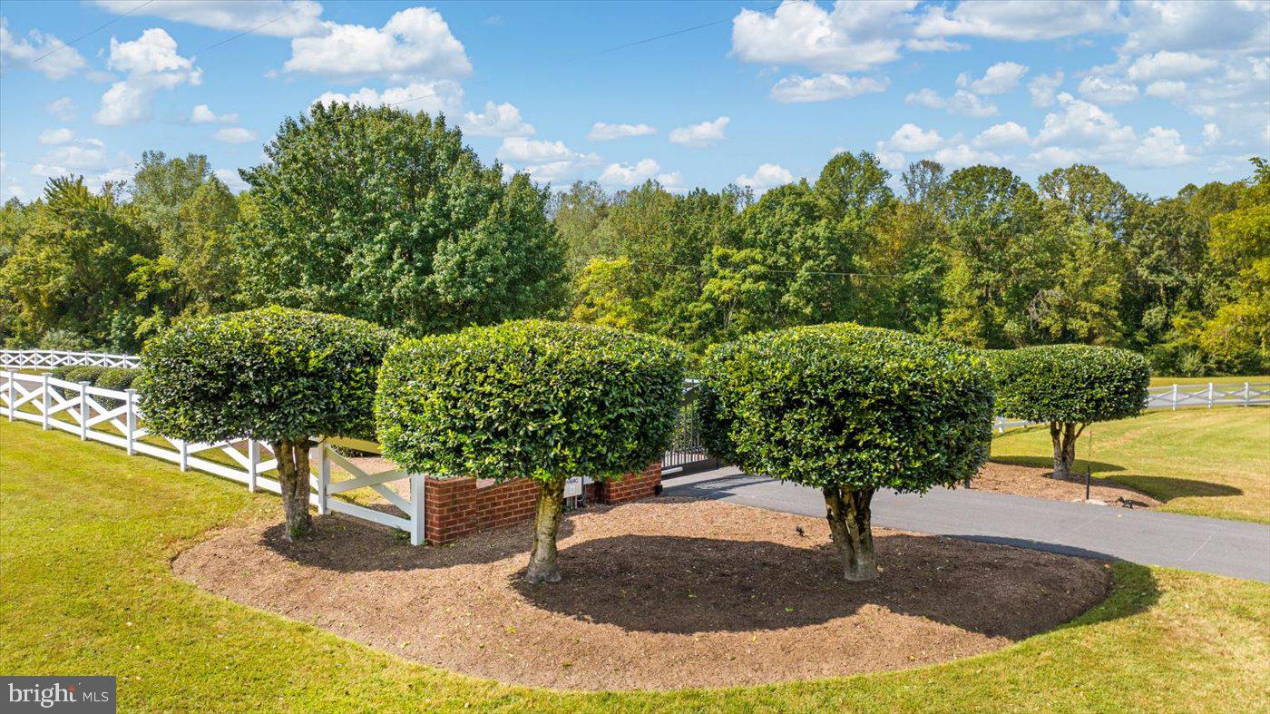 12620 CHEWNING LN, FREDERICKSBURG, Virginia 22407, 7 Bedrooms Bedrooms, ,4 BathroomsBathrooms,Farm,For sale,12620 CHEWNING LN,VASP2036340 MLS # VASP2036340