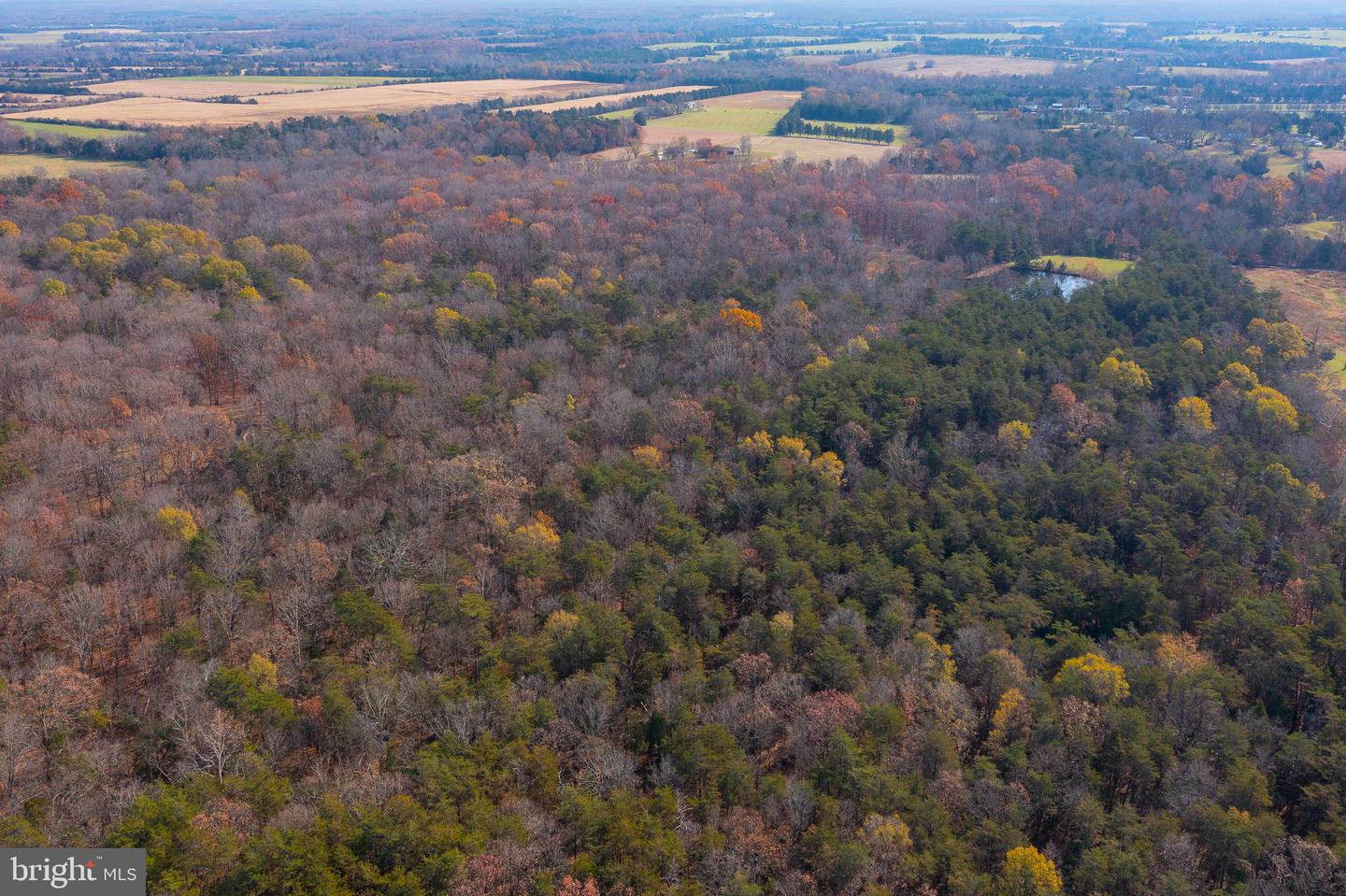 14 ACRES SHENANDOAH PATH, CATLETT, Virginia 20119, ,Land,For sale,14 ACRES SHENANDOAH PATH,VAFQ2018346 MLS # VAFQ2018346