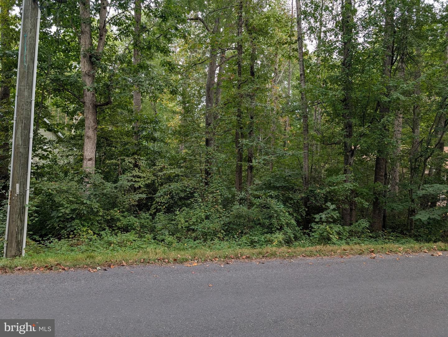 203 BATTLEFIELD RD, LOCUST GROVE, Virginia 22508, ,Land,For sale,203 BATTLEFIELD RD,VAOR2012328 MLS # VAOR2012328