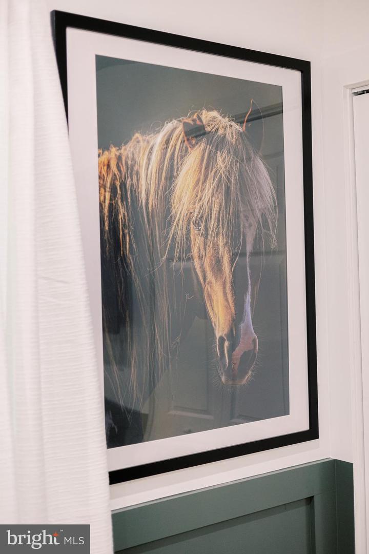 268 DOGWOOD DR, MOUNT JACKSON, Virginia 22842, 3 Bedrooms Bedrooms, ,2 BathroomsBathrooms,Residential,For sale,268 DOGWOOD DR,VASH2012488 MLS # VASH2012488