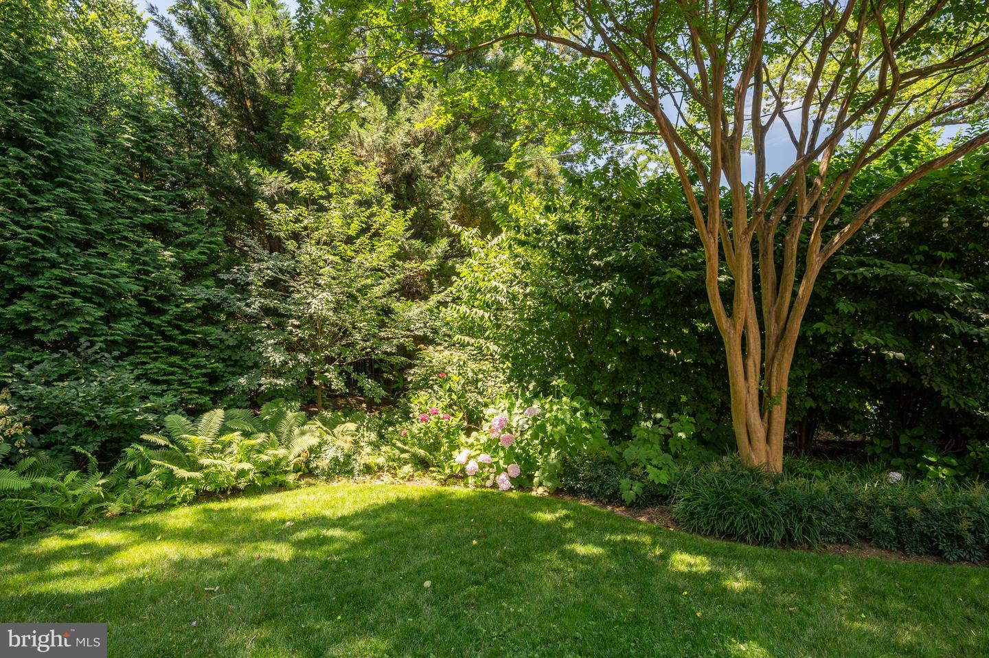 4822 QUEBEC ST NW, WASHINGTON, District Of Columbia 20016, 5 Bedrooms Bedrooms, ,4 BathroomsBathrooms,Residential,For sale,4822 QUEBEC ST NW,DCDC2222766 MLS # DCDC2222766