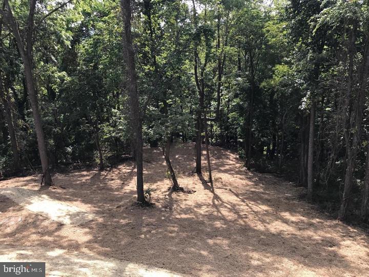 34 TEE CT., LINDEN, Virginia 22642, 3 Bedrooms Bedrooms, ,2 BathroomsBathrooms,Residential,For sale,34 TEE CT.,VAWR2012330 MLS # VAWR2012330