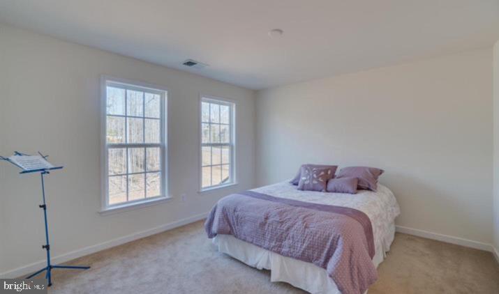 20 GLENBOGLE LN, STAFFORD, Virginia 22556, 5 Bedrooms Bedrooms, ,5 BathroomsBathrooms,Residential,For sale,20 GLENBOGLE LN,VAST2036672 MLS # VAST2036672