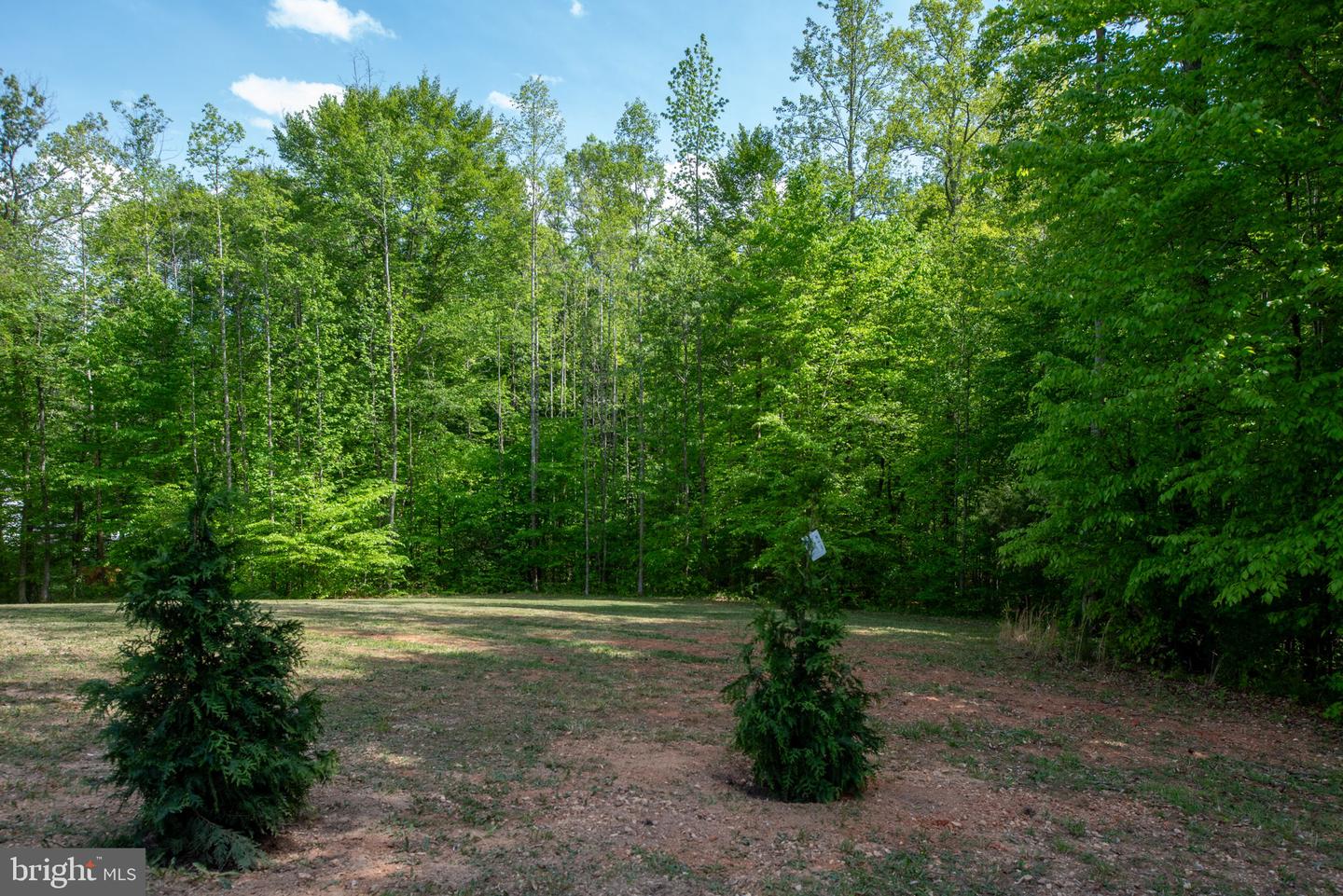 20 GLENBOGLE LN, STAFFORD, Virginia 22556, 5 Bedrooms Bedrooms, ,5 BathroomsBathrooms,Residential,For sale,20 GLENBOGLE LN,VAST2036672 MLS # VAST2036672