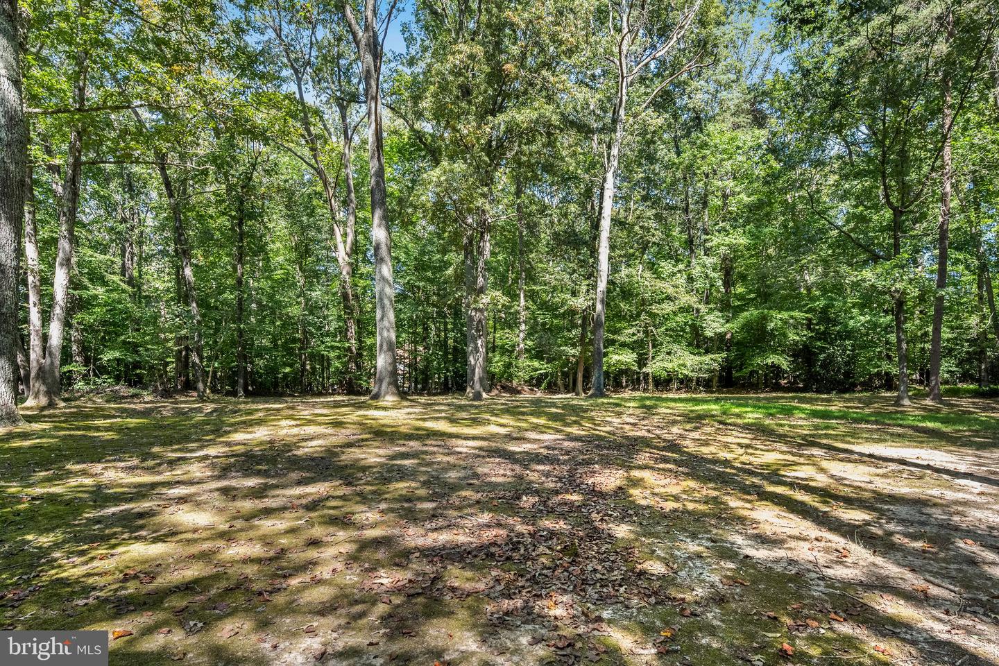 7408 MAPLE BRANCH RD, CLIFTON, Virginia 20124, 4 Bedrooms Bedrooms, 15 Rooms Rooms,2 BathroomsBathrooms,Residential,For sale,7408 MAPLE BRANCH RD,VAFX2264458 MLS # VAFX2264458