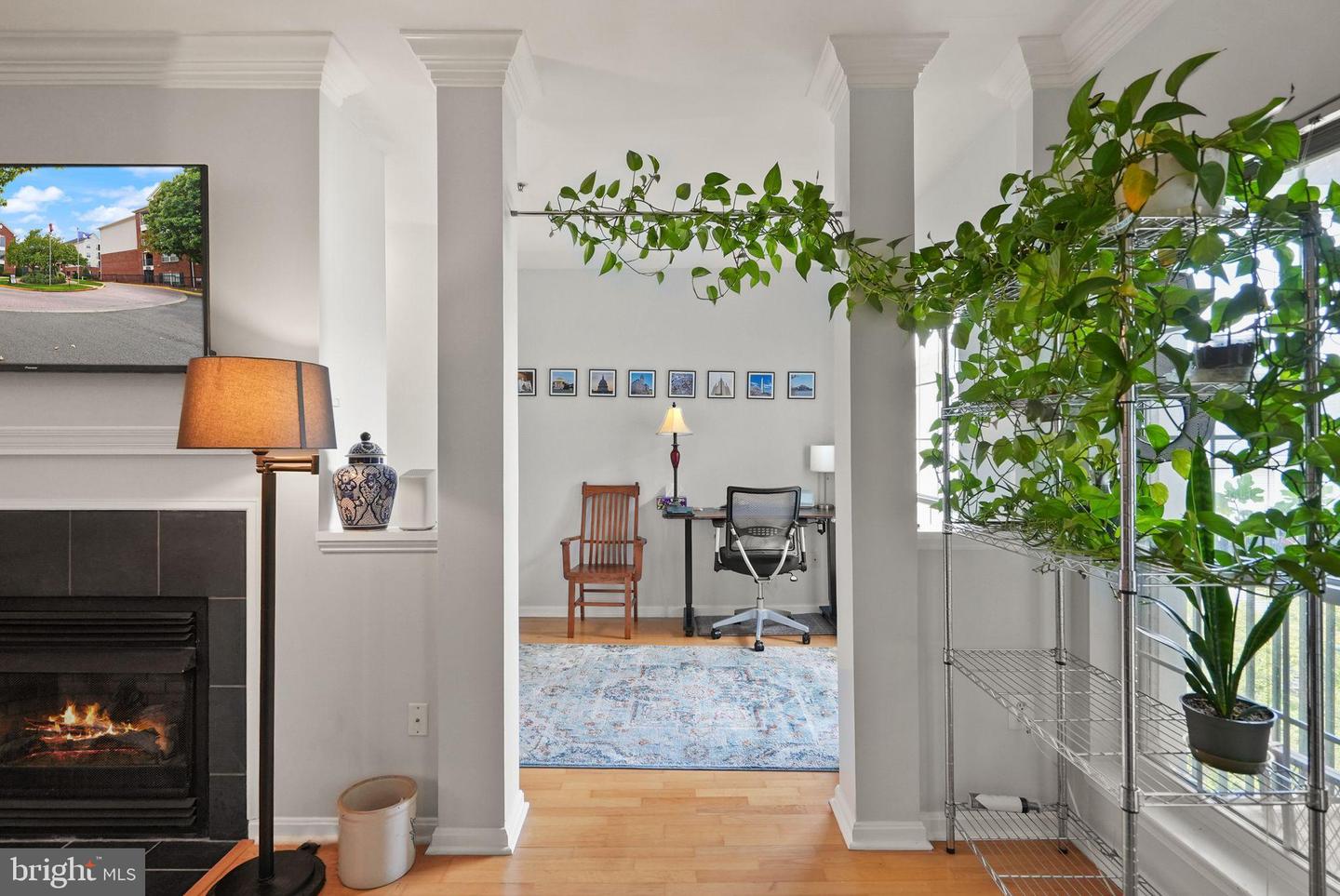 4854 EISENHOWER AVE #445, ALEXANDRIA, Virginia 22304, 2 Bedrooms Bedrooms, 8 Rooms Rooms,2 BathroomsBathrooms,Residential,For sale,4854 EISENHOWER AVE #445,VAAX2049438 MLS # VAAX2049438 4854 EISENHOWER AVE #445, ALEXANDRIA, Virginia 22304, 2 Bedrooms Bedrooms, 8 Rooms Rooms,2 BathroomsBathrooms,Residential,For sale,4854 EISENHOWER AVE #445,VAAX2049438 MLS # VAAX2049438