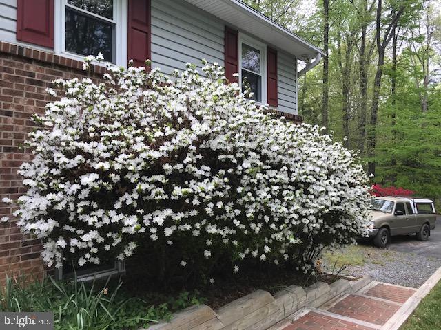 13750 ENSENADA CT, MANASSAS, Virginia 20112, 4 Bedrooms Bedrooms, ,3 BathroomsBathrooms,Residential,For sale,13750 ENSENADA CT,VAPW2103764 MLS # VAPW2103764