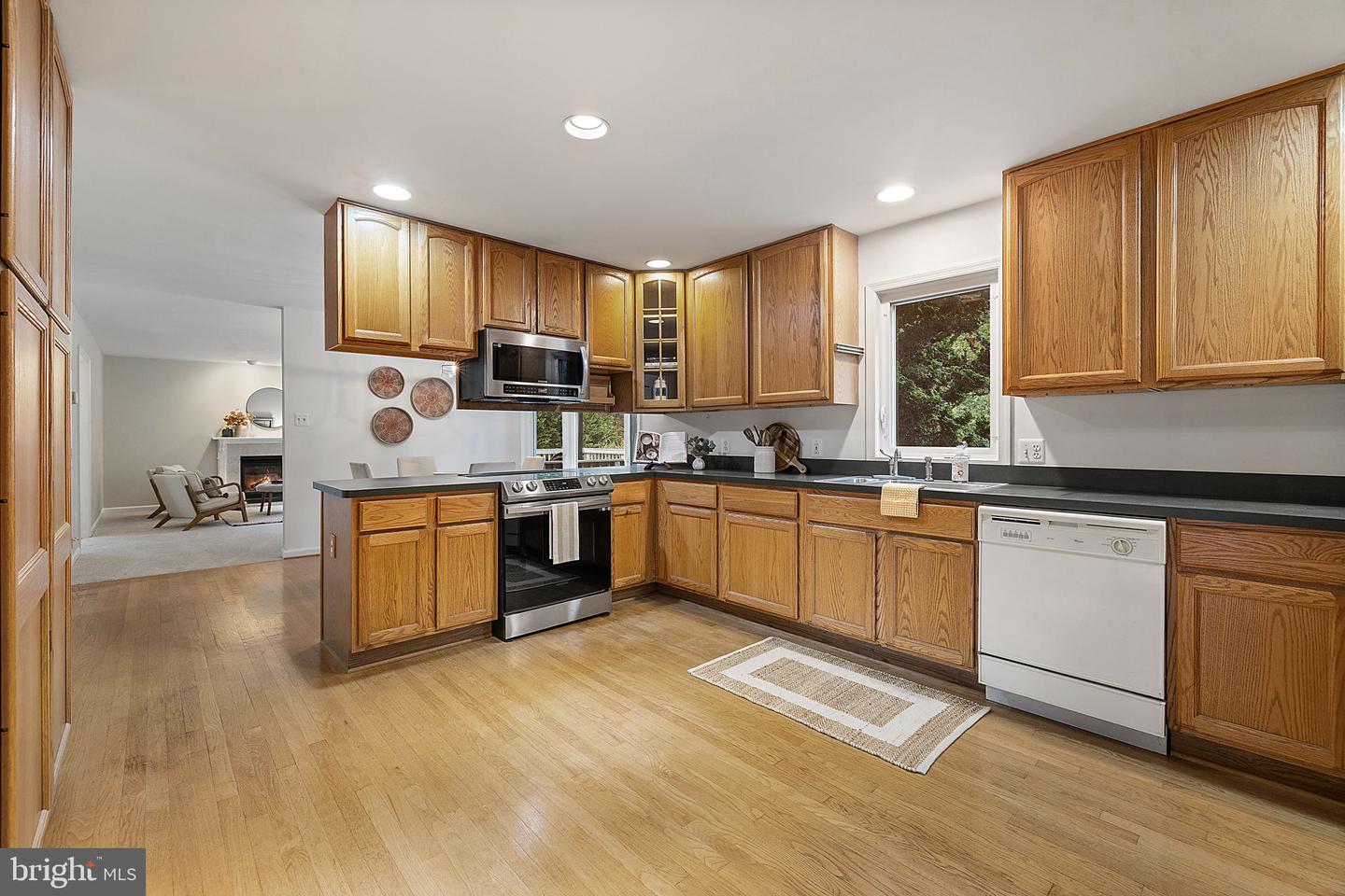1372 FREEMAN DR, AMISSVILLE, Virginia 20106, 4 Bedrooms Bedrooms, ,2 BathroomsBathrooms,Residential,For sale,1372 FREEMAN DR,VACU2011542 MLS # VACU2011542